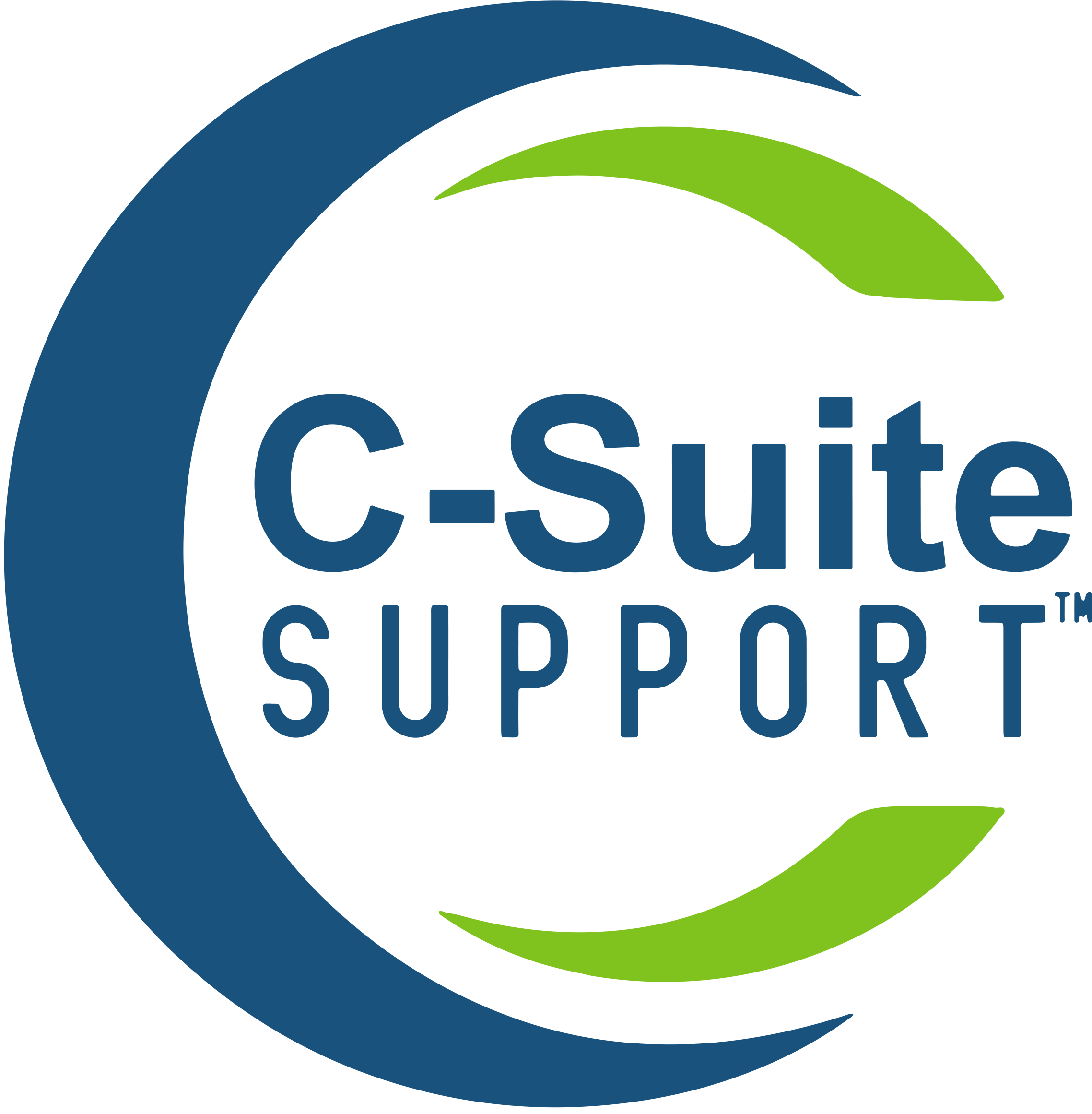 C-Suite Support logo